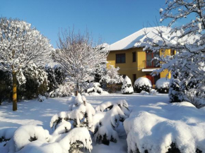 Völgy Apartman